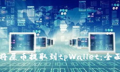 如何将屎币提取到tpWallet:全面指南
