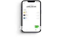tpWallet官网免费下载与安装指南：安全