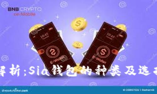 全面解析:Sia钱包的种类及选择指南