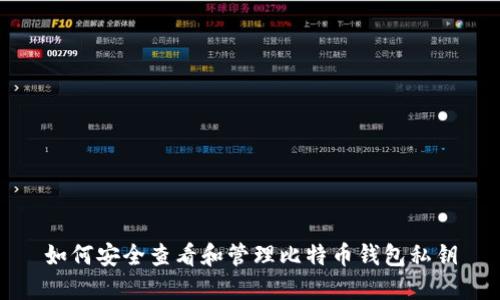 如何安全查看和管理比特币钱包私钥
