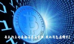 每天钓鱼的乐趣与养鱼管理：我的钱包