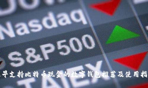 最早支持比特币现金的数字钱包推荐及使用指南