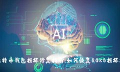 : 比特币钱包损坏修复指南：如何恢复