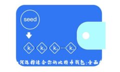 :如何选择适合你的比特币钱包：全面