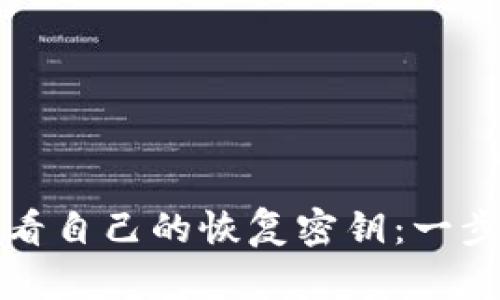 如何查看自己的恢复密钥:一步步指南