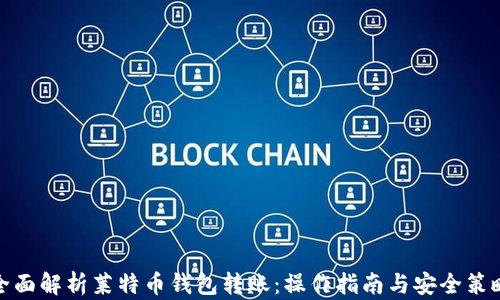 全面解析莱特币钱包转账:操作指南与安全策略