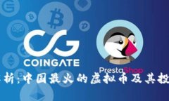 深入解析：中国最火的虚拟币及其投资