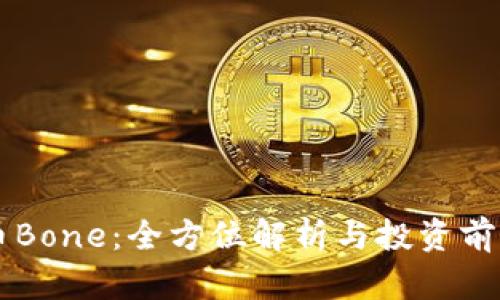 虚拟币Bone:全方位解析与投资前景分析