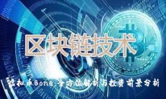 虚拟币Bone：全方位解析与投资前景分