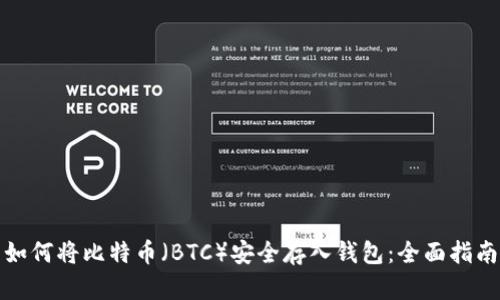 如何将比特币(BTC)安全存入钱包:全面指南