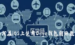 如何在iOS上使用Doge钱包转账教程