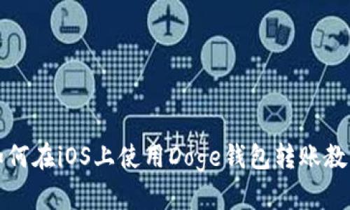 如何在iOS上使用Doge钱包转账教程