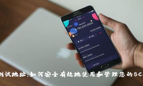 BCD钱包测试地址:如何安全有效地使用和管理您的BCD数字资产