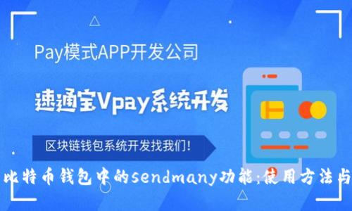 全面解析比特币钱包中的sendmany功能:使用方法与最佳实践