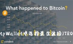 如何在tpWallet中选择最佳波场（TRON）配