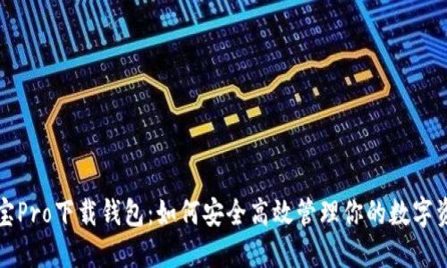 波宝Pro下载钱包：如何安全高效管理你的数字资产