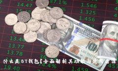 什么是BT钱包？全面解析其功能与使用