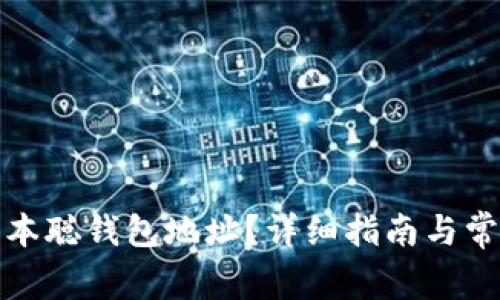 如何查找中本聪钱包地址？详细指南与常见问题解答