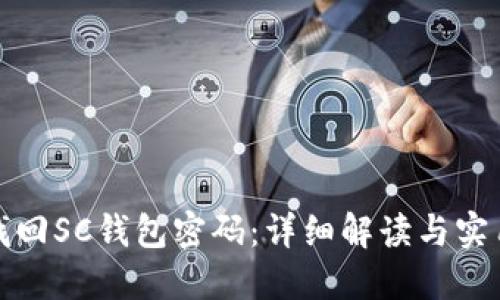 如何找回SC钱包密码：详细解读与实用技巧