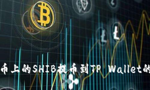 如何将火币上的SHIB提币到TP Wallet的详细指南