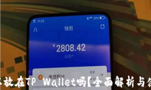 
NFT可以放在TP Wallet吗？全面解析与使用指南
