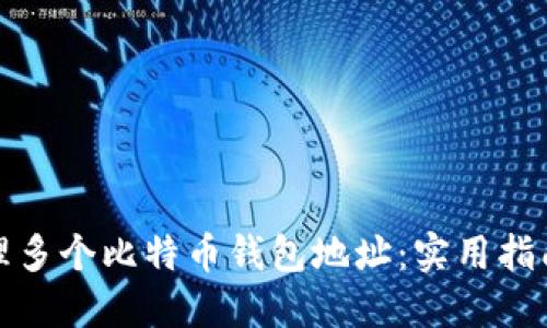 如何管理多个比特币钱包地址:实用指南与技巧