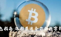 数字钱包指南：选择最适合你的数字钱