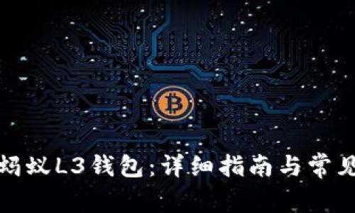 如何设置蚂蚁L3钱包:详细指南与常见问题解答