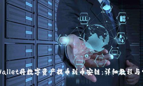 如何使用tpWallet将数字资产提币到币安链：详细教程与常见问题解答