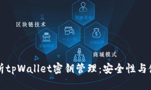 全面解析tpWallet密钥管理：安全性与使用指南