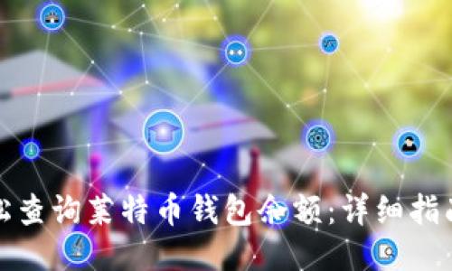 如何轻松查询莱特币钱包余额：详细指南与技巧