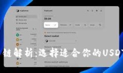 USDT常用链解析：选择适合你的USDT链的
