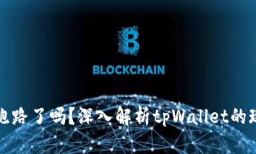 tpWallet挖矿跑路了吗？深入解析tpWallet的现状与投资风险