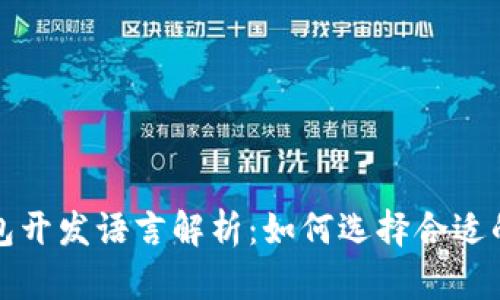 比特币钱包开发语言解析:如何选择合适的编程语言