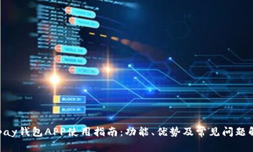 Gopay钱包APP使用指南：功能、优势及常见问题解答