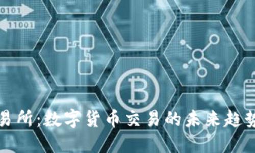VV币交易所:数字货币交易的未来趋势与发展