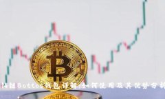 铂链Bottos钱包详解：如何使用及其优势