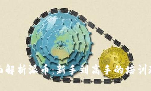 全面解析派币:新手到高手的培训教程