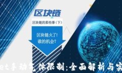 tpWallet手动气体限制：全面解析与实用