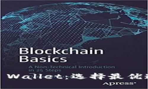 USDT转账到TP Wallet：选择最优通道的详细指南
