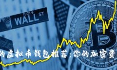  最安全的虚拟币钱包推荐：你的加密