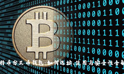 比特币分叉币钱包:如何选址、使用与安全性全解析