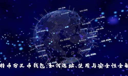 比特币分叉币钱包:如何选址、使用与安全性全解析