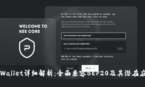 TPWallet详细解析:全面兼容BEP20及其潜在应用
