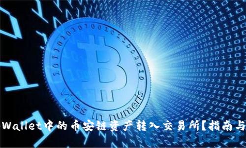 如何将tpWallet中的币安链资产转入交易所?指南与步骤详解