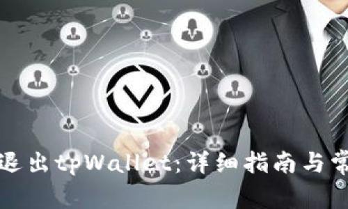 如何安全地退出tpWallet：详细指南与常见问题解答