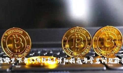 在哪里下载BTN钱包?详细指南与常见问题解答