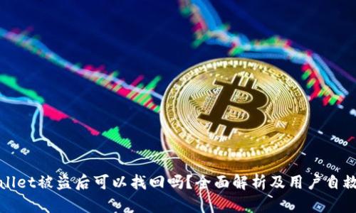 tpWallet被盗后可以找回吗?全面解析及用户自救指南