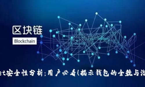 tpWallet安全性分析：用户必看！揭示钱包的全貌与潜在风险