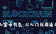 如何制作山寨币钱包：从入门到精通的全面指南